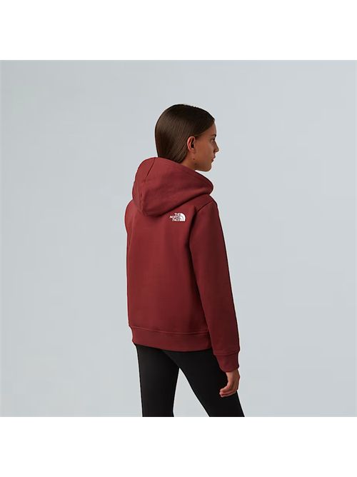  THE NORTH FACE | NF0A8EHH/0VO1